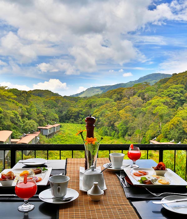 https://d1ik16tjnt68t7.cloudfront.net/2023/08/dining-slider-600x700-1.jpg